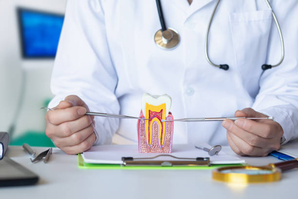 Best Dental Abscess Treatment in Glenwood, IA